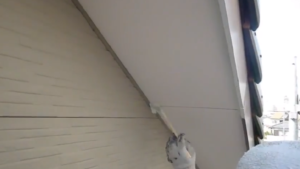 軒天塗装に迷ったらこの色！おすすめの色ベスト5