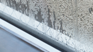 外壁塗装で結露によるカビを効果的に予防する方法