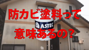 防カビ塗料とは？効果・選ぶポイント・おすすめ防カビ塗料